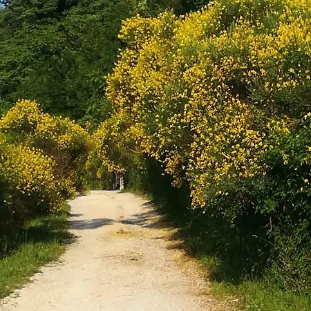 Casabella Casale Immerso Nel Verde * Montecosaro (Marche)